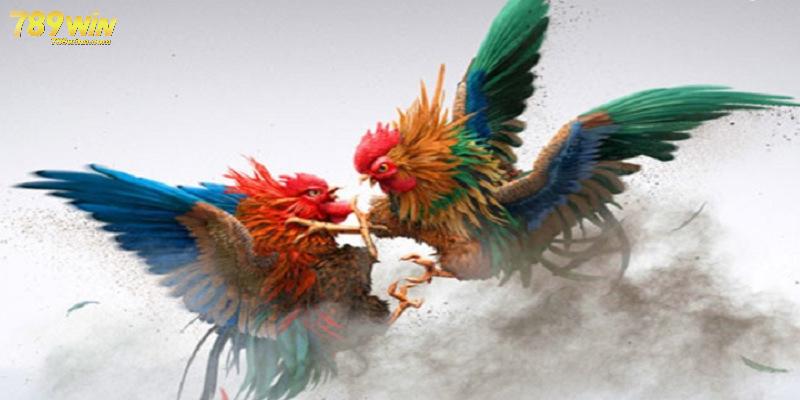 Đá gà online mở ra một thế giới sôi động và đầy kịch tính