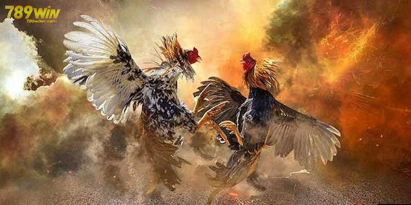 Việc hiểu rõ về các chiến kê tham gia trận đấu là bước đầu tiên quan trọng